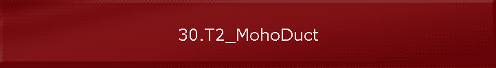 30.T2_MohoDuct